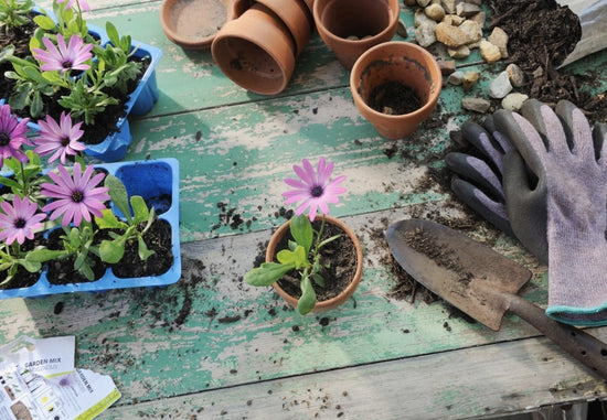 April Gardening Tips from the Expert. | Farmhouse Table Company