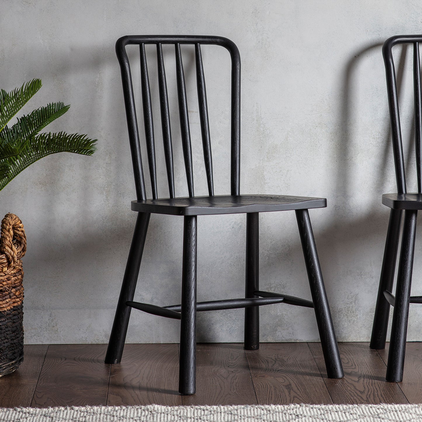 Two Tigley Dining Chairs Black 450x455x920mm (2pk) from Kikiathome.co.uk enhancing interior decor next to a potted plant.