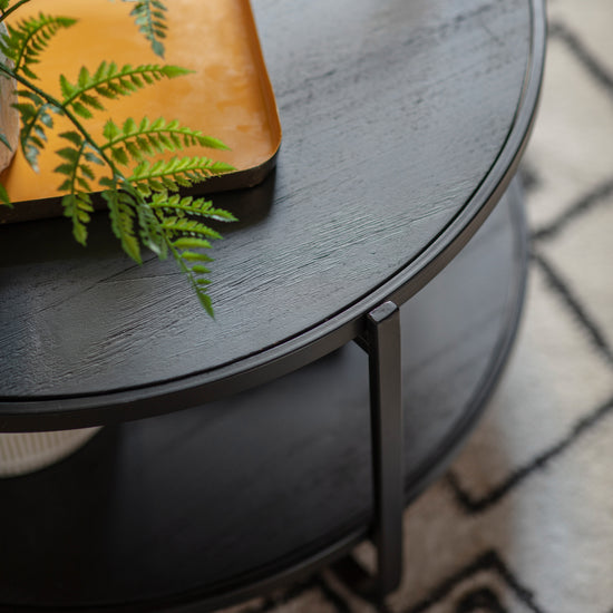 A Lutton Coffee Table with a plant on it, perfect for interior decor.