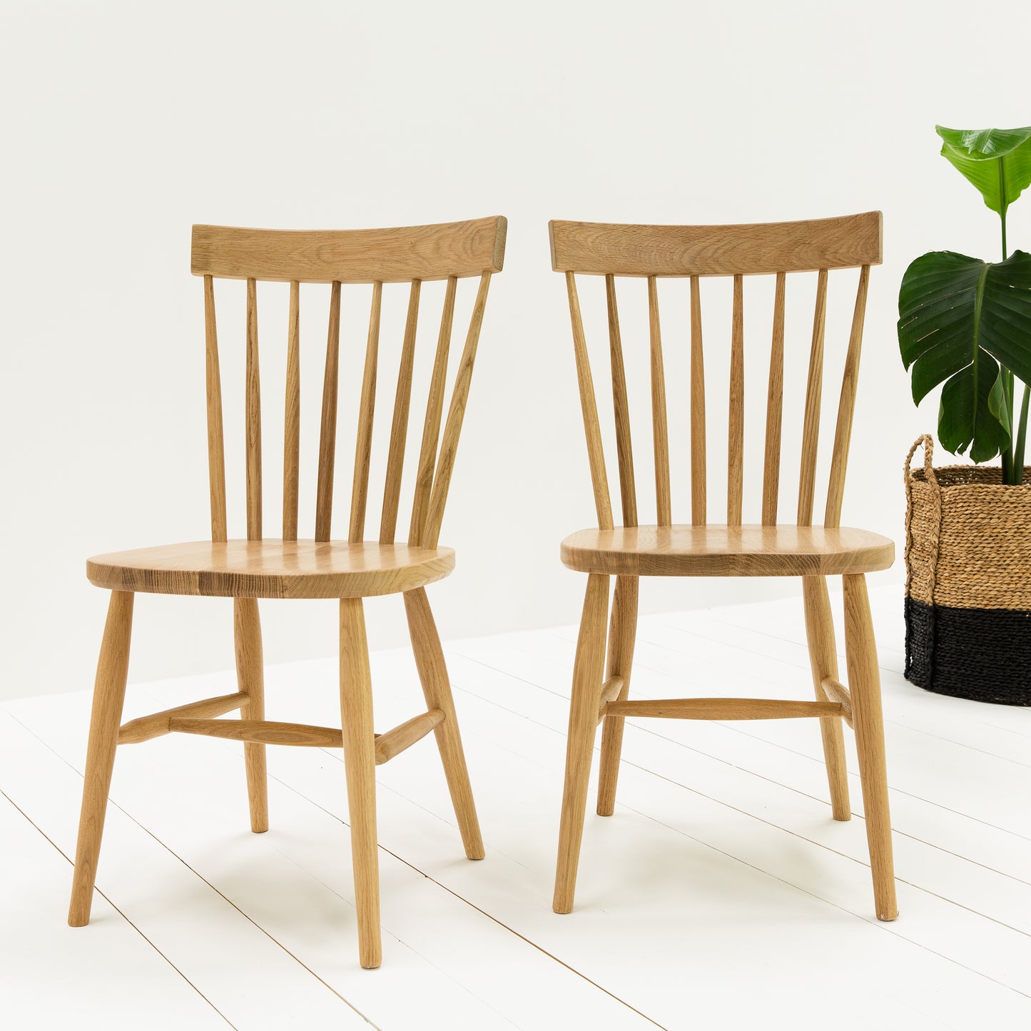Two Kiki Oak Spindle Back Dining Chairs paired with a plant, enhancing interior decor.